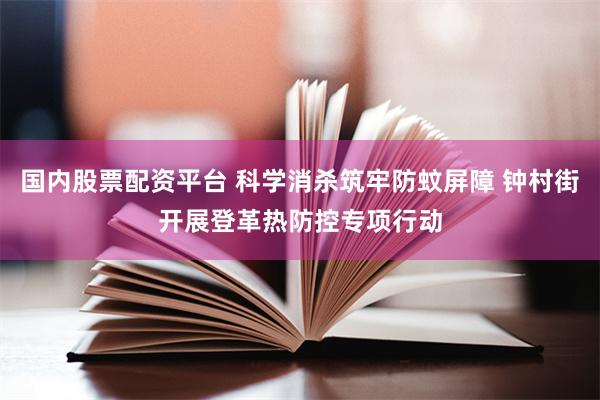 国内股票配资平台 科学消杀筑牢防蚊屏障 钟村街开展登革热防控专项行动