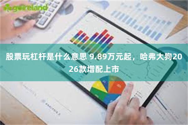 股票玩杠杆是什么意思 9.89万元起，哈弗大狗2026款增配上市