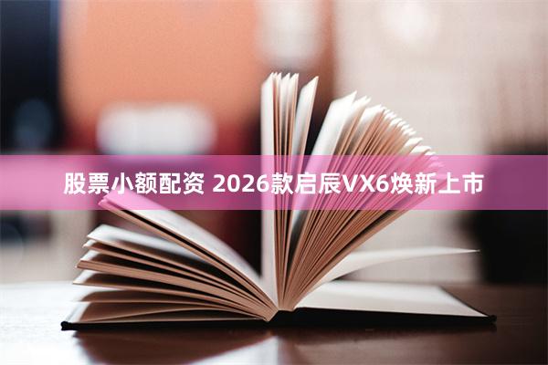股票小额配资 2026款启辰VX6焕新上市