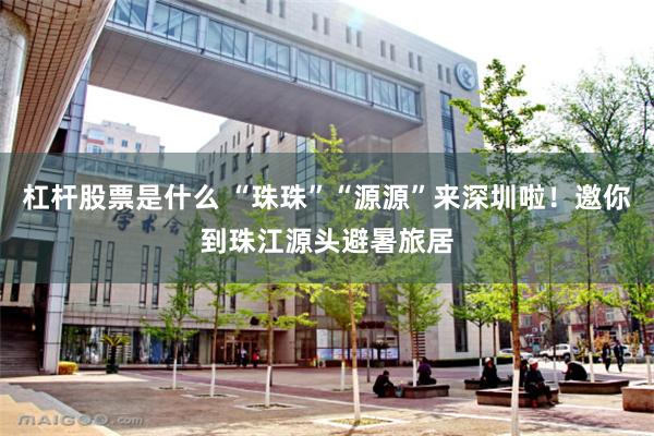杠杆股票是什么 “珠珠”“源源”来深圳啦！邀你到珠江源头避暑旅居