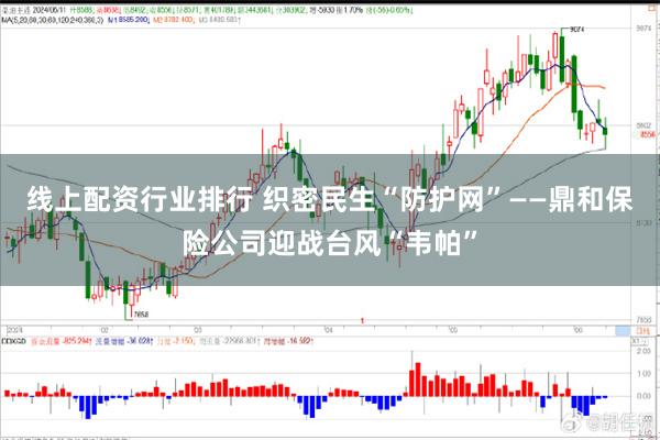 线上配资行业排行 织密民生“防护网”——鼎和保险公司迎战台风“韦帕”