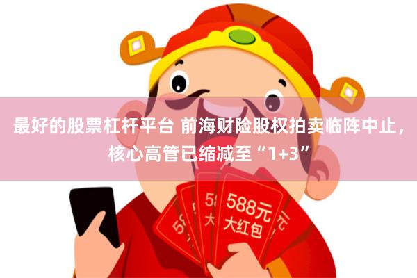 最好的股票杠杆平台 前海财险股权拍卖临阵中止，核心高管已缩减至“1+3”