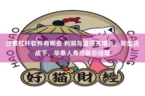 股票杠杆软件有哪些 利润与退保齐增长，转型挑战下，华泰人寿迎新总经理