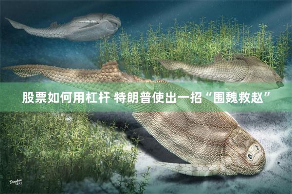 股票如何用杠杆 特朗普使出一招“围魏救赵”