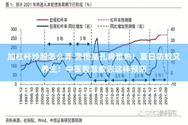 加杠杆炒股怎么弄 警惕基孔肯雅热！夏日防蚊又养生：中医智慧教您这样预防