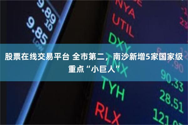 股票在线交易平台 全市第二，南沙新增5家国家级重点“小巨人”