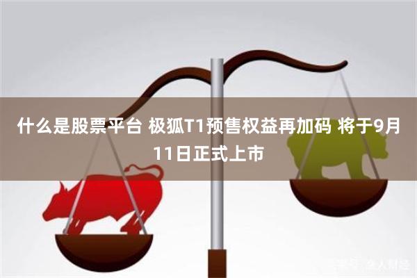 什么是股票平台 极狐T1预售权益再加码 将于9月11日正式上市