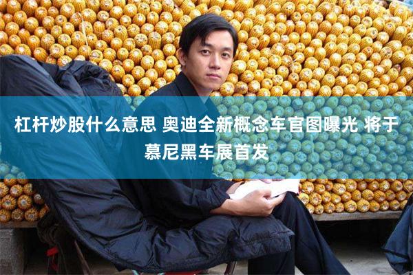 杠杆炒股什么意思 奥迪全新概念车官图曝光 将于慕尼黑车展首发