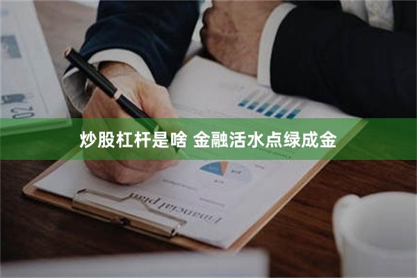 炒股杠杆是啥 金融活水点绿成金