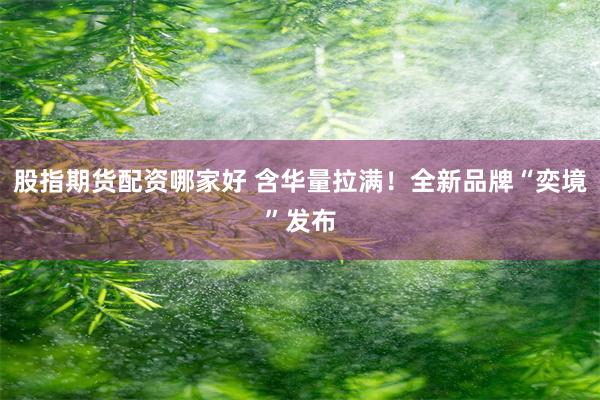 股指期货配资哪家好 含华量拉满！全新品牌“奕境”发布