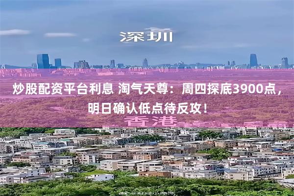 炒股配资平台利息 淘气天尊:周四探底3900点,明日确认低点待反攻!