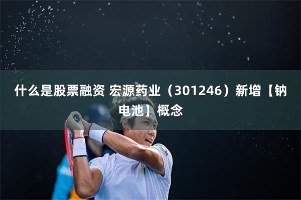 什么是股票融资 宏源药业(301246)新增【钠电池】概念