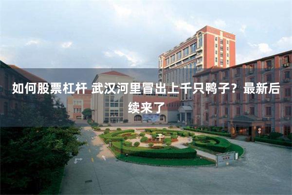 如何股票杠杆 武汉河里冒出上千只鸭子？最新后续来了