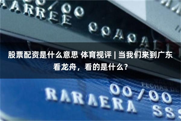 股票配资是什么意思 体育视评 | 当我们来到广东看龙舟,看的是什么?