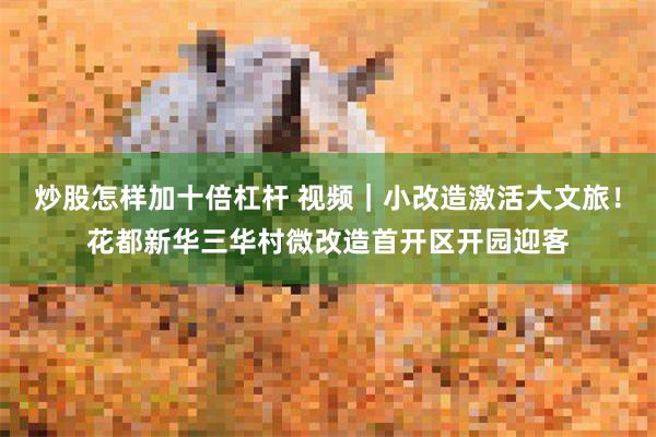 炒股怎样加十倍杠杆 视频｜小改造激活大文旅！花都新华三华村微改造首开区开园迎客