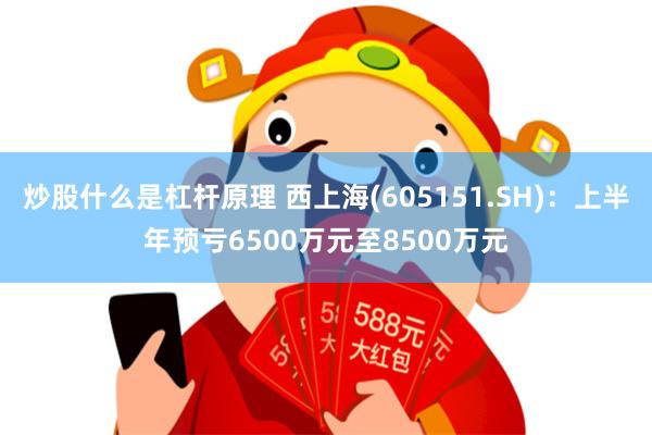 炒股什么是杠杆原理 西上海(605151.SH)：上半年预亏6500万元至8500万元