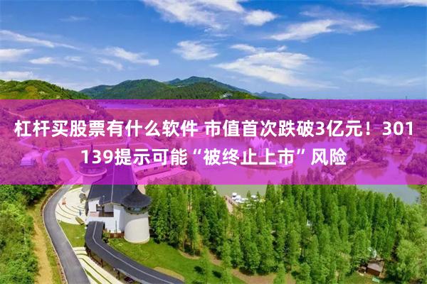 杠杆买股票有什么软件 市值首次跌破3亿元！301139提示可能“被终止上市”风险