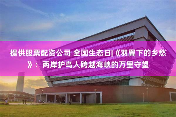 提供股票配资公司 全国生态日|《羽翼下的乡愁》：两岸护鸟人跨越海峡的万里守望