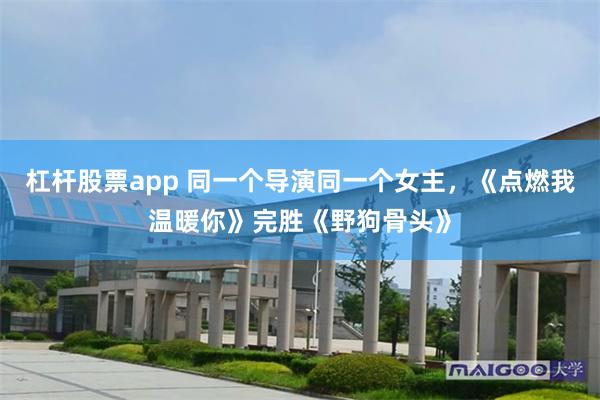 杠杆股票app 同一个导演同一个女主，《点燃我温暖你》完胜《野狗骨头》