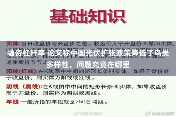 融资杠杆率 论文称中国光伏扩张政策降低了鸟类多样性，问题究竟在哪里