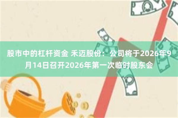 股市中的杠杆资金 禾迈股份：公司将于2026年9月14日召开2026年第一次临时股东会