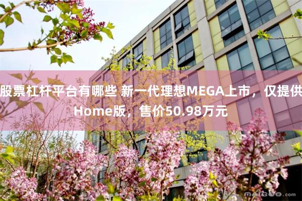 股票杠杆平台有哪些 新一代理想MEGA上市，仅提供Home版，售价50.98万元
