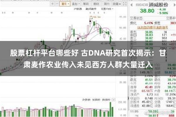 股票杠杆平台哪些好 古DNA研究首次揭示：甘肃麦作农业传入未见西方人群大量迁入