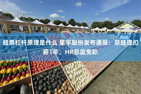 股票杠杆原理是什么 星宇股份发布通报：总经理扣薪1年，HR总监免职