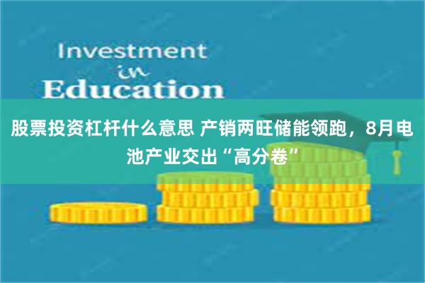 股票投资杠杆什么意思 产销两旺储能领跑，8月电池产业交出“高分卷”