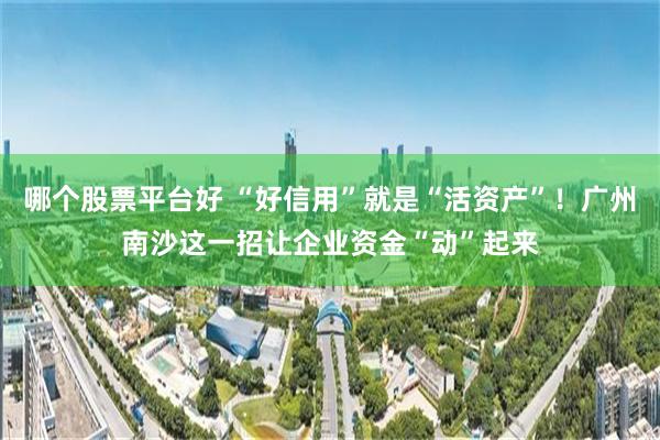 哪个股票平台好 “好信用”就是“活资产”！广州南沙这一招让企业资金“动”起来