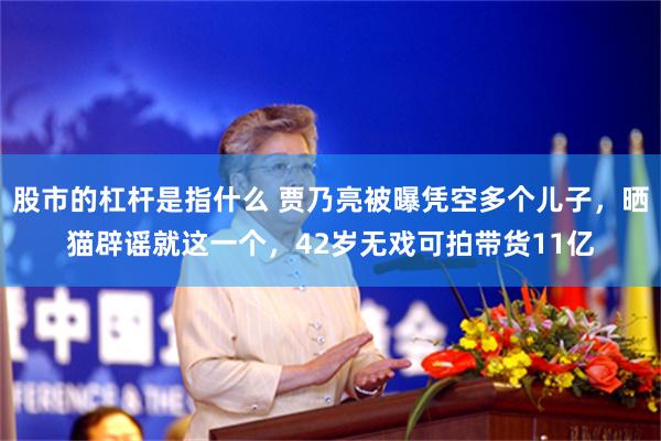 股市的杠杆是指什么 贾乃亮被曝凭空多个儿子,晒猫辟谣就这一个,42岁无戏可拍带货11亿